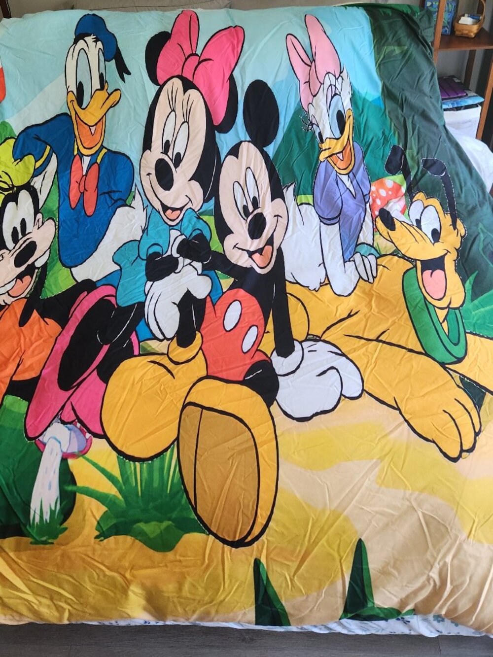 Full size Disney Duvet Cover/insert/pillowcases